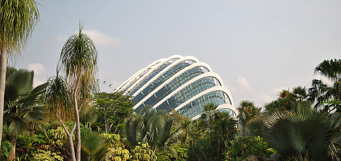 Singapur, moderne Kuppel hinter zahlreichen Pflanzen